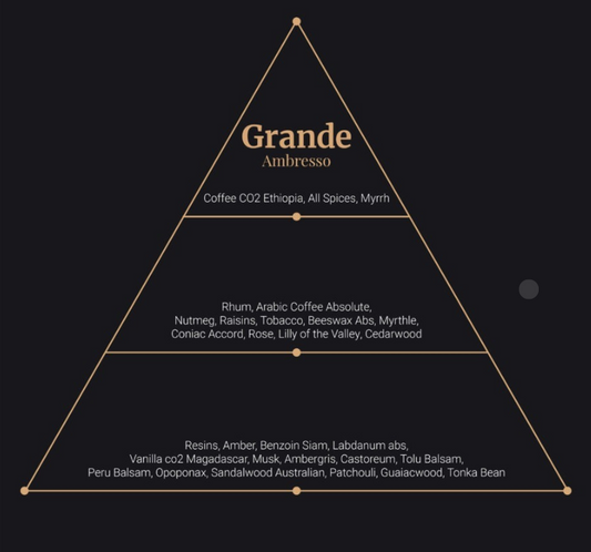 Grande Parfums – Ambresso – Édition Limitée – Extrait de Parfum 50ML